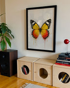 BUTTERFLY WALL ART PRINT "AERIS"