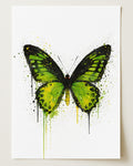 BUTTERFLY WALL ART PRINT "ISOLDE"
