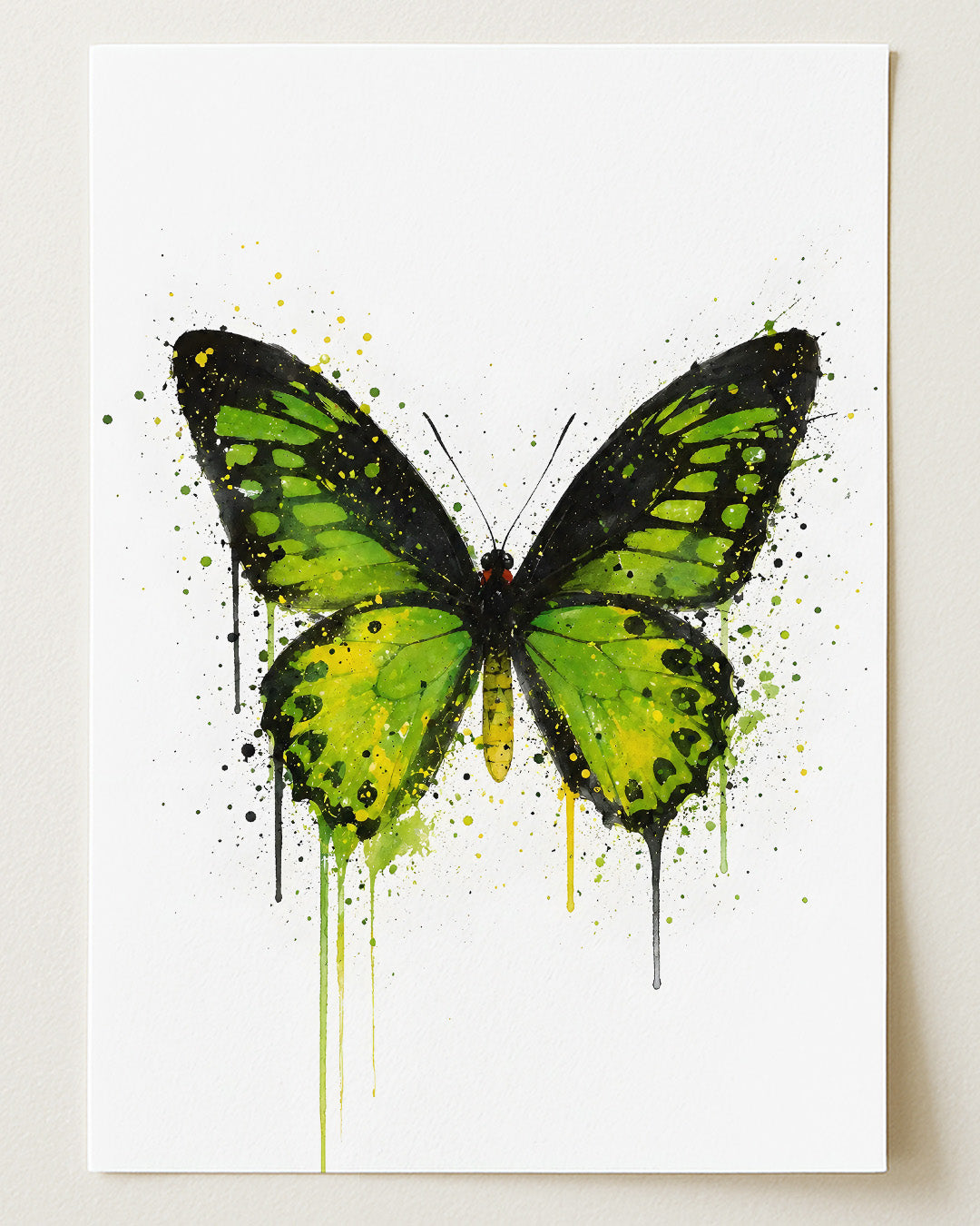 BUTTERFLY WALL ART PRINT "ISOLDE"