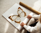 BUTTERFLY WALL ART PRINT "CALISTA"