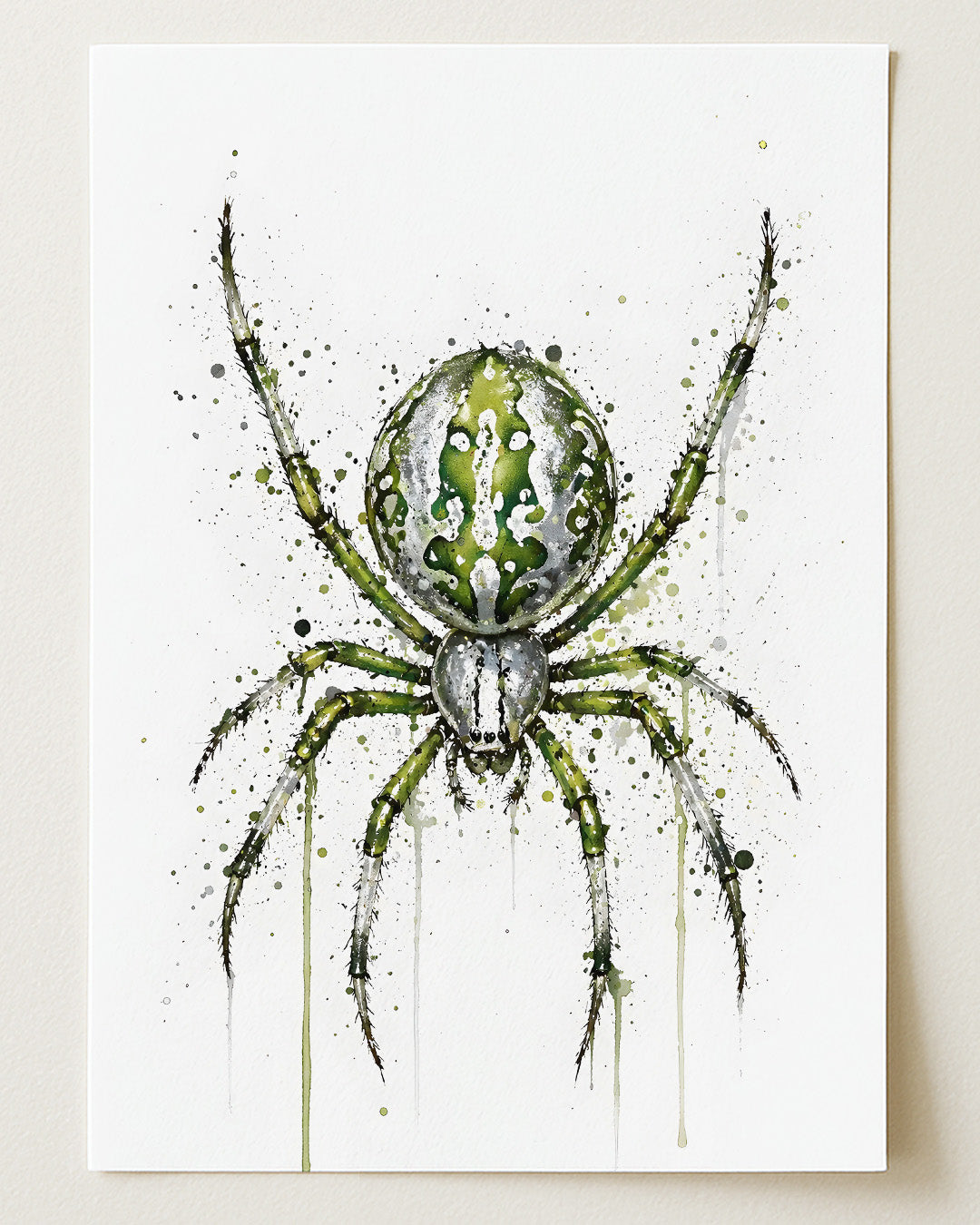SPIDER WALL ART PRINT "SILK"