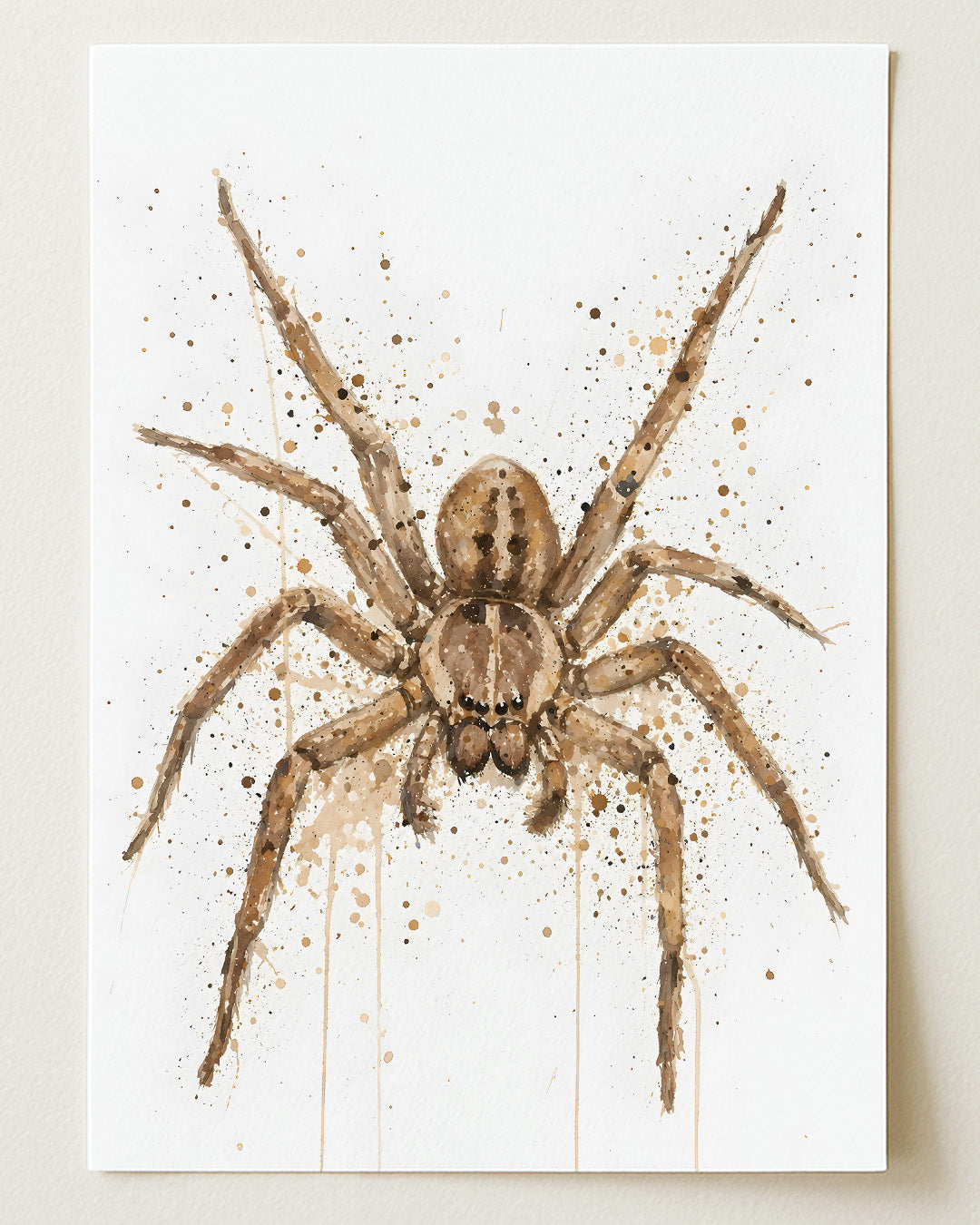 SPIDER WALL ART PRINT "UMBRAL"